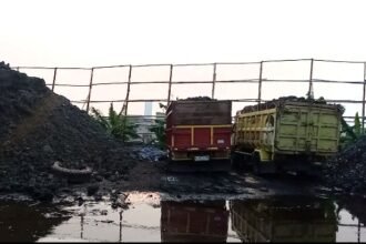 IMG 20231024 WA0329