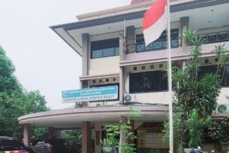 IMG 20231111 WA0131