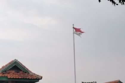 IMG 20231117 WA0162