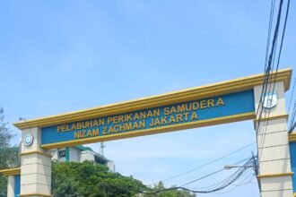 IMG 20240101 WA0032