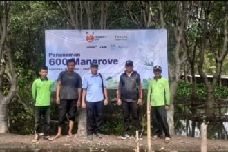 IMG 20240228 WA0167