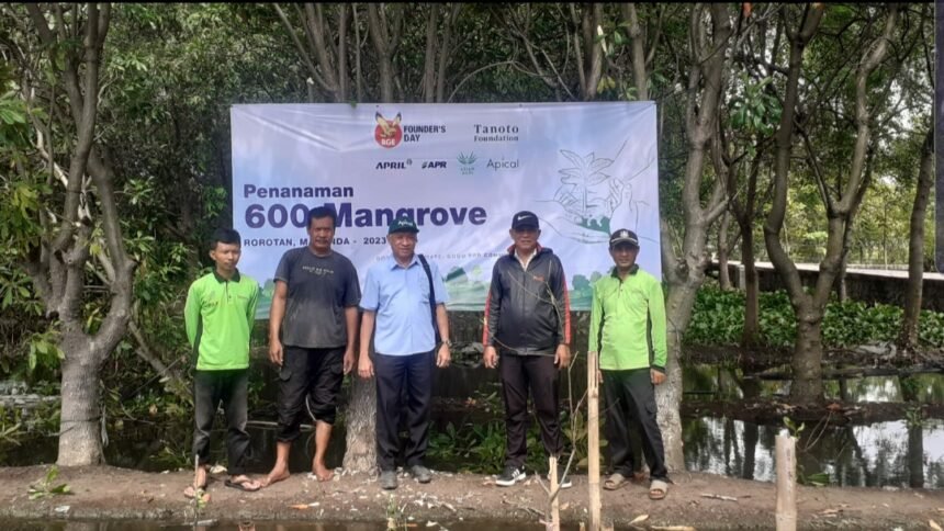 IMG 20240228 WA0167