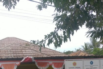 IMG 20240302 WA0057 2