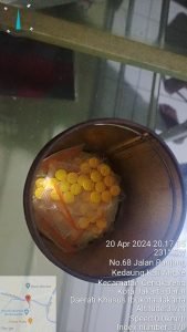 TimePhoto 20240420 201705