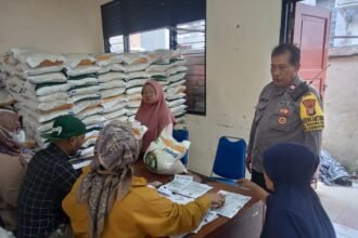 IMG 20240827 WA0202