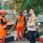 IMG 20240830 WA0203