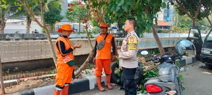 IMG 20240830 WA0203