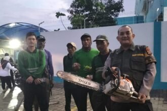 IMG 20240910 WA0101