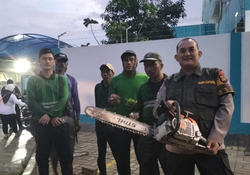 IMG 20240910 WA0101