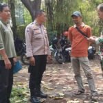 IMG 20240927 WA0213