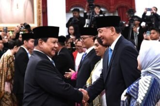 IMG 20241021 WA0241