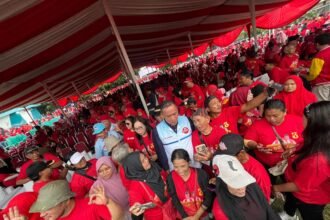 IMG 20241106 WA0185