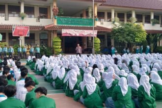 IMG 20241118 WA0145