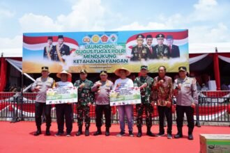 IMG 20241120 WA0160