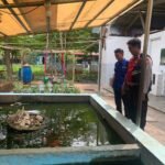 IMG 20241125 WA0213