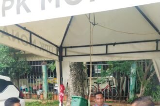 IMG 20241205 WA0344
