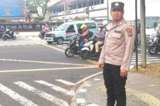 IMG 20241210 WA0248