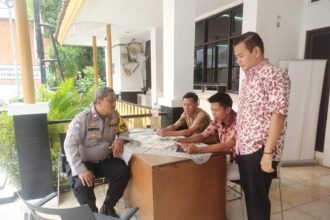 IMG 20241210 WA0253