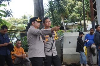 IMG 20241210 WA0285