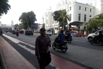 IMG 20241210 WA0287