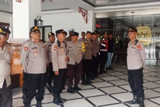 IMG 20241211 WA0201