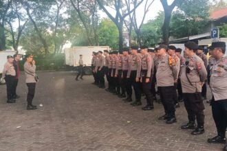 IMG 20241212 WA0127