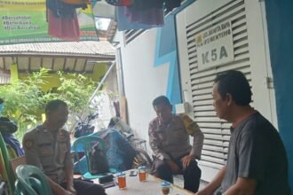 IMG 20241212 WA0205
