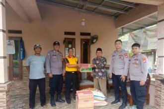 IMG 20241215 WA0051