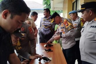 IMG 20241223 WA0171