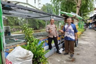 IMG 20241225 WA0222