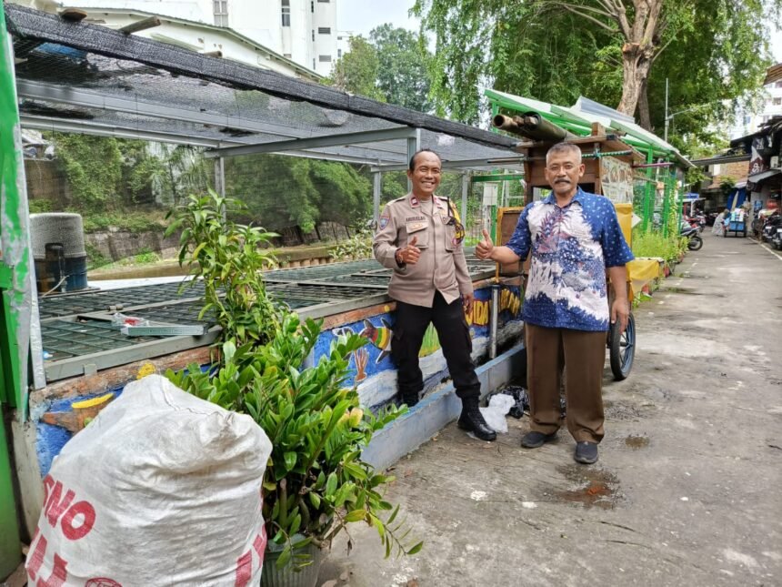 IMG 20241225 WA0222