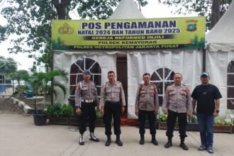 IMG 20241226 WA0218