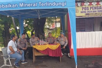 IMG 20241227 WA0109