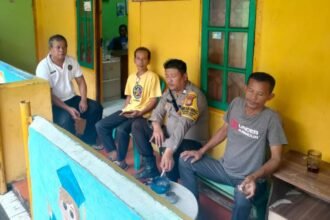 IMG 20241228 WA0012
