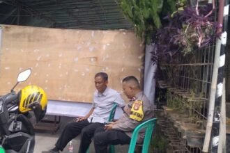IMG 20241230 WA0010