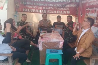 IMG 20241230 WA0306