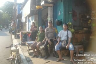 IMG 20250103 WA0206