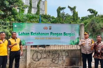 IMG 20250103 WA0390