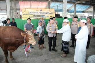 IMG 20250104 WA0180