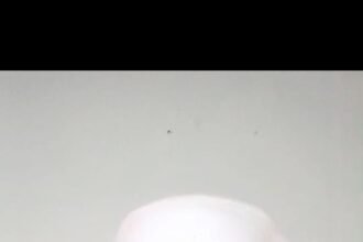 IMG 20250107 WA0167