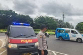 IMG 20250109 WA0408