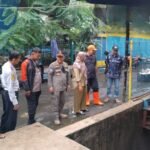 IMG 20250110 WA0303
