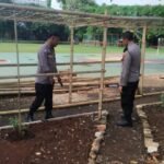 IMG 20250111 WA0255