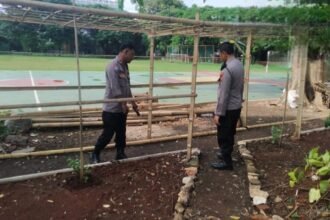 IMG 20250111 WA0255