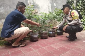 IMG 20250111 WA0308