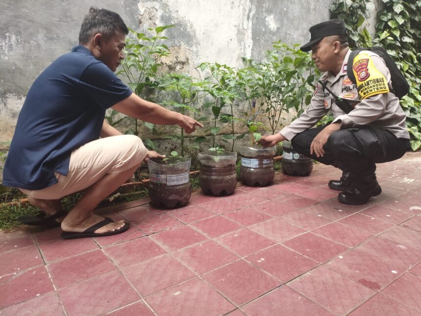 IMG 20250111 WA0308