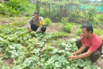 IMG 20250113 WA0139