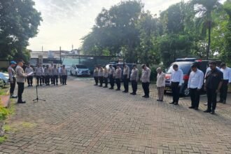 IMG 20250113 WA0149