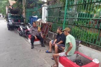 IMG 20250113 WA0161