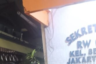IMG 20250114 WA0126